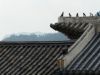 p1160003.JPG
